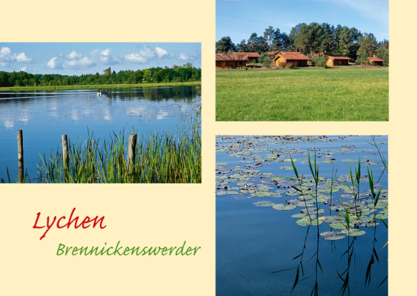 Lychen – Nr. 333